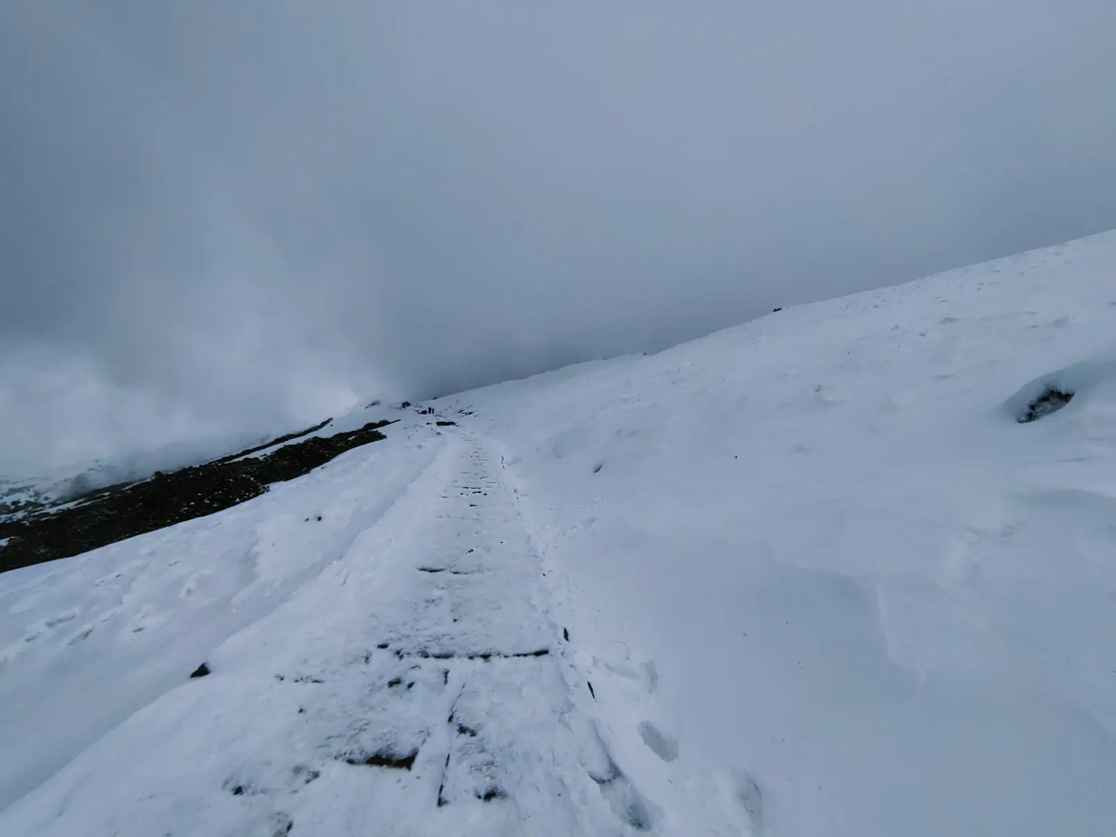 A snowy trail vanishing into a whiteout